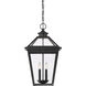 Ellijay 4 Light 14 inch Black Outdoor Hanging Lantern