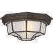 Exterior Collections 1 Light 11 inch Rustic Bronze Outdoor Flush Mount
