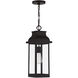 Drexel 1 Light 7.5 inch English Bronze Outdoor Hanging Lantern, Lighting One