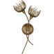 Protea Wall Sconce Wall Light