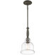 Chester 1 Light 8.5 inch Sweetgum Pendant Ceiling Light