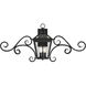 Ellijay 3 Light 38.00 inch Outdoor Wall Light