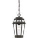 Holbrook 1 Light 8 inch Textured Bronze With Gold Highlights Outdoor Hanging Lantern