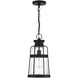 Quinton 1 Light 8.5 inch Matte Black Outdoor Hanging Lantern, Lighting One