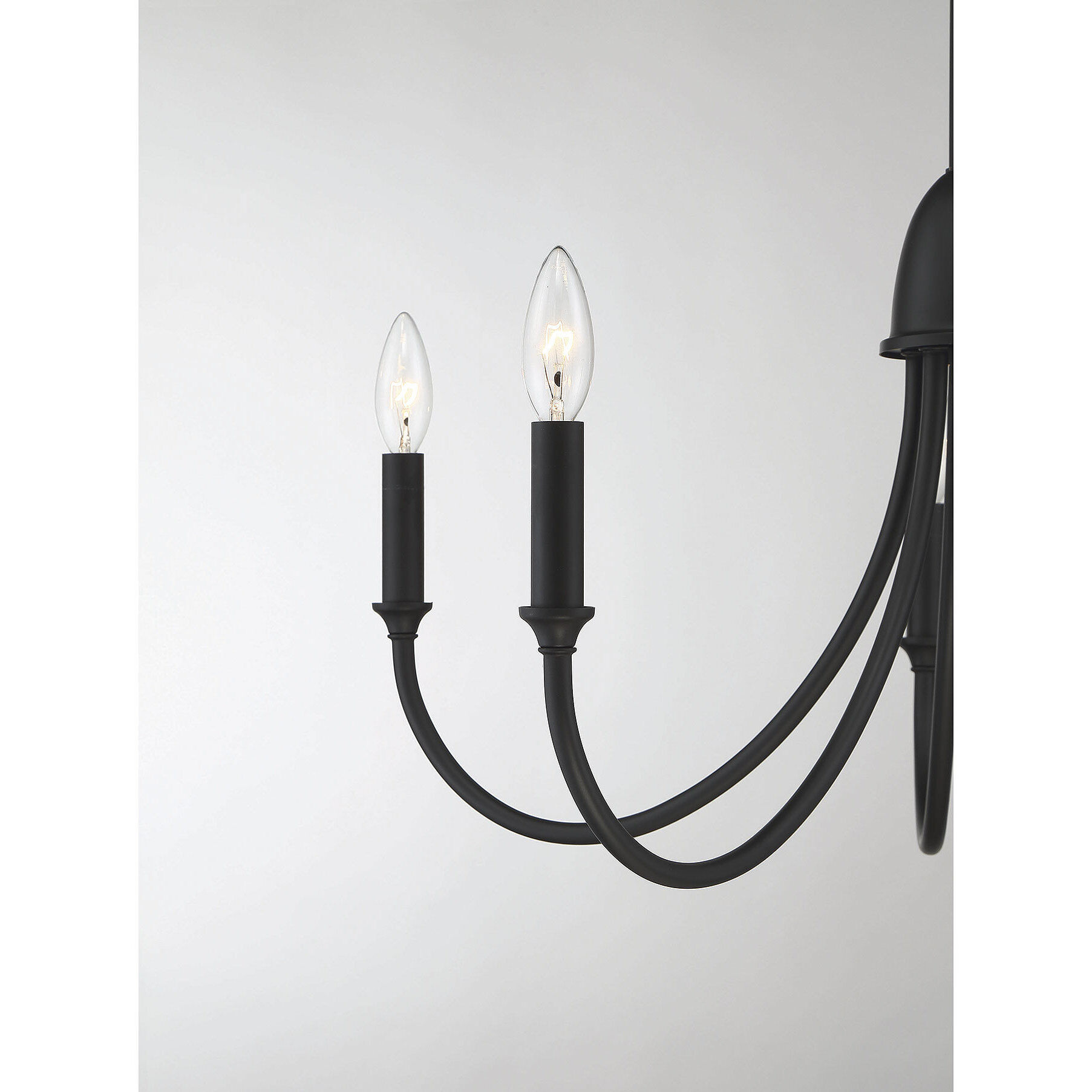 Cameron 5 Light 29 inch Matte Black Chandelier Ceiling Light, Essentials