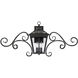 Ellijay Outdoor Wall Lantern in English Bronze, with Scrolls