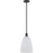 Baldwin 1 Light 10 inch Matte Black Pendant Ceiling Light, Essentials