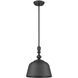 Berg 1 Light 12 inch Matte Black Pendant Ceiling Light, Essentials