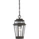Holbrook 1 Light 8 inch Textured Bronze With Gold Highlights Outdoor Hanging Lantern