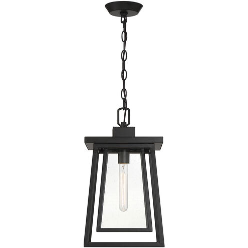 Denver 1 Light 8 inch Matte Black Outdoor Hanging Lantern