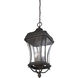 Realto 4 Light 12 inch Walnut Patina Outdoor Hanging Lantern