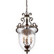 St. Laurence 3 Light 15 inch New Tortoise Shell / Silver Pendant Ceiling Light