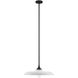 Hadley 1 Light 20 inch Matte Black Pendant Ceiling Light