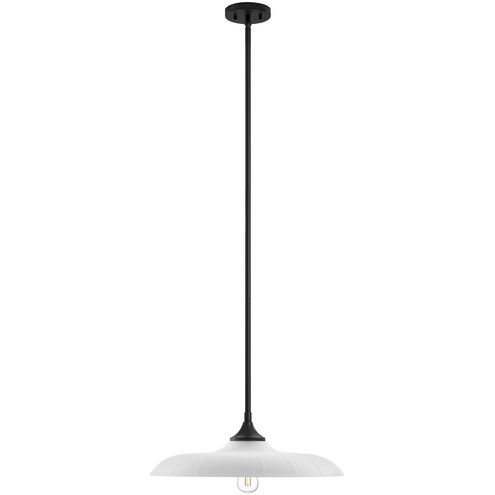 Hadley 1 Light 20 inch Matte Black Pendant Ceiling Light
