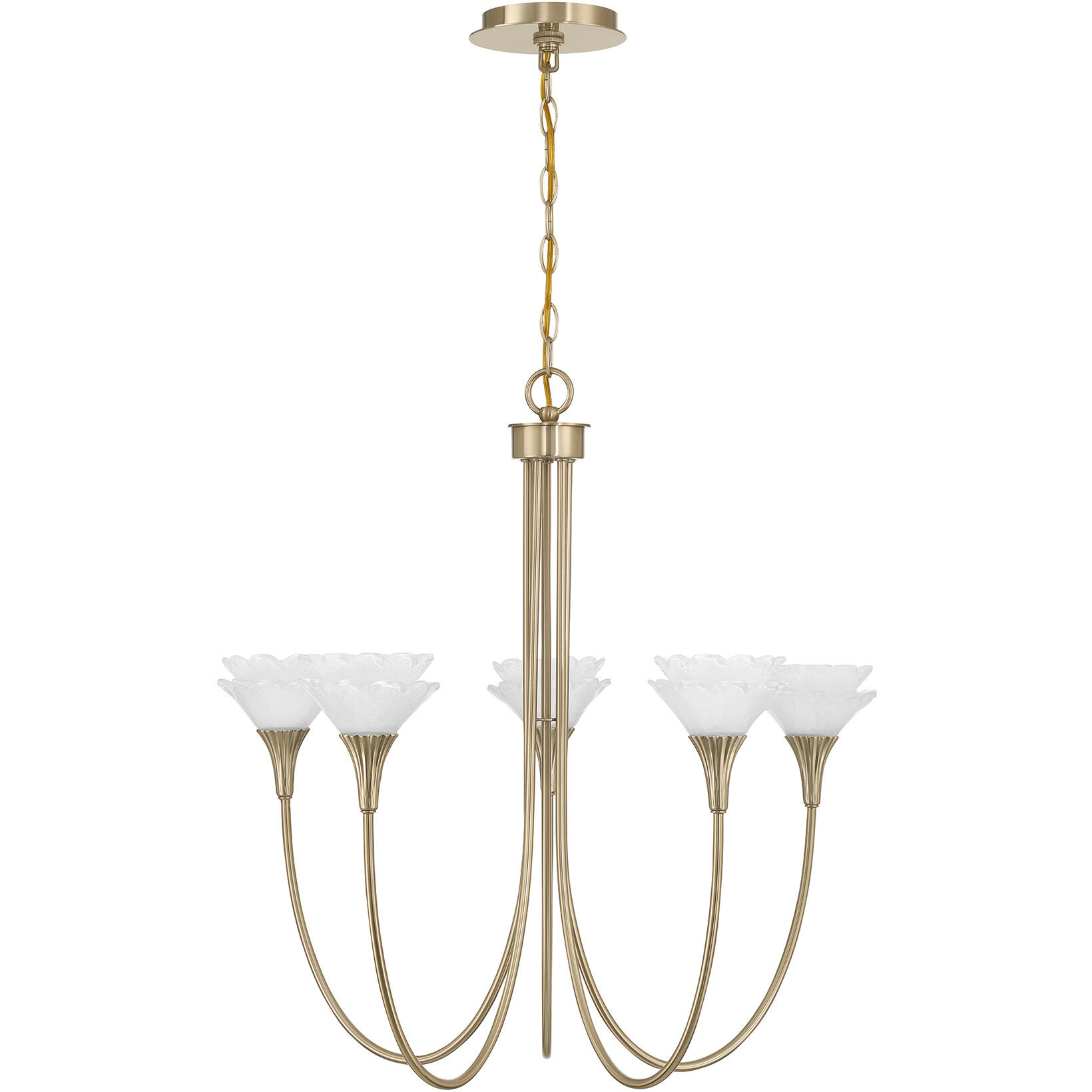 Florena 5 Light 26 inch Noble Brass Chandelier Ceiling Light