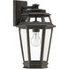 Holbrook 1 Light 15 inch Textured Bronze With Gold Highlights Outdoor Wall Lantern, Medium