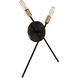 Lyrique 2 Light 16 inch Bronze with Brass ADA Wall Sconce Wall Light in Bronze with Brass Accents