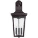 Randolph Outdoor Wall Lantern