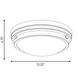 Lucerne 2 Light 13.25 inch Warm Brass Flush Mount Ceiling Light, Essentials