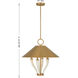 Hearne 4 Light 22 inch Warm Brass Pendant Ceiling Light