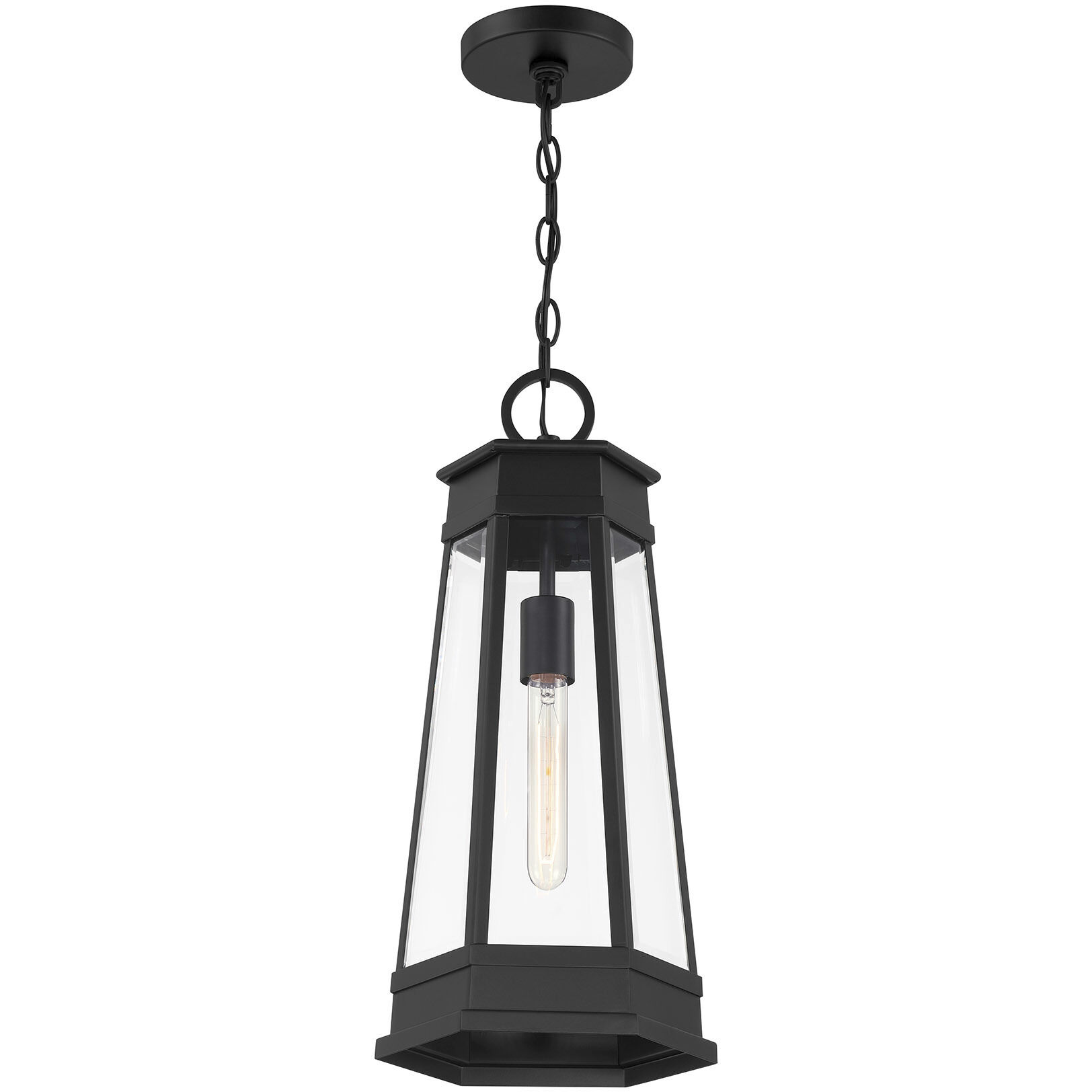Payne 1 Light 9.5 inch Matte Black Outdoor Hanging Lantern