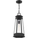 Payne 1 Light 9.5 inch Matte Black Outdoor Hanging Lantern