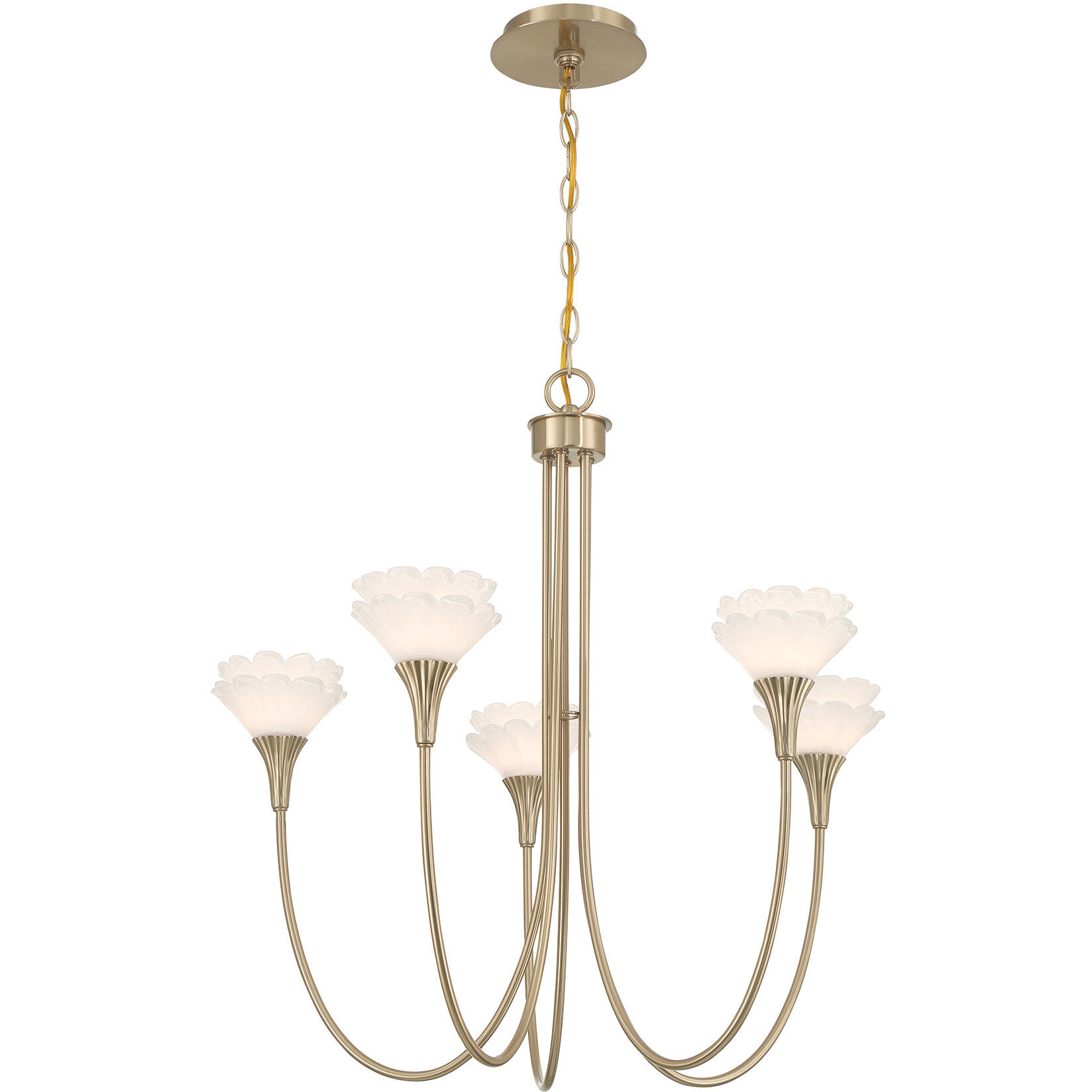 Florena 5 Light 26 inch Noble Brass Chandelier Ceiling Light