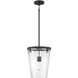 Dimond 1 Light 12 inch Matte Black Pendant Ceiling Light, Lighting One