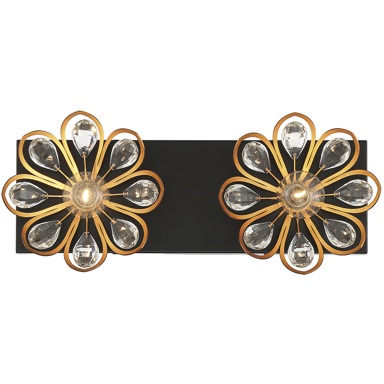 Poppy 2 Light 15 inch Black with Warm Brass Accents Bathroom Vanity Light Wall Light