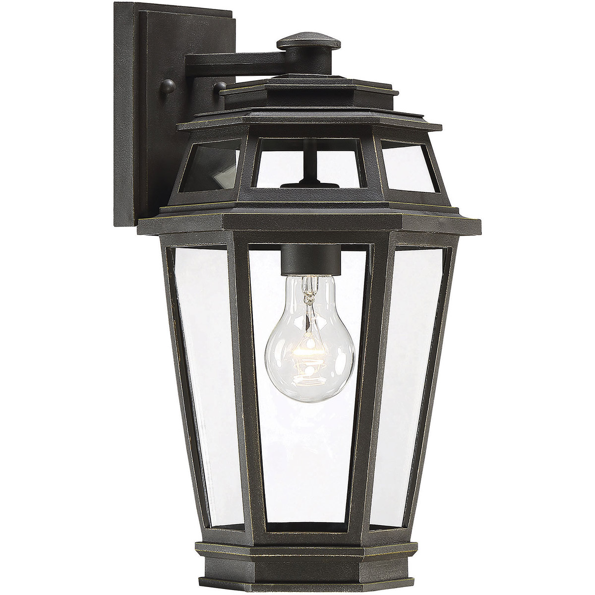 Holbrook 1 Light 15 inch Textured Bronze With Gold Highlights Outdoor Wall Lantern, Medium