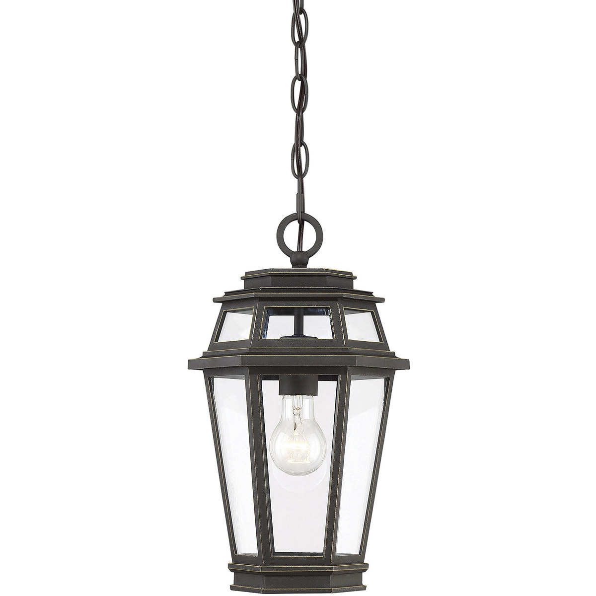 Holbrook 1 Light 8 inch Textured Bronze With Gold Highlights Outdoor Hanging Lantern